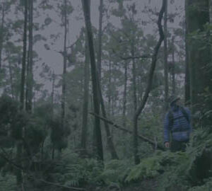 鬼島台灣恐怖事件 Horror Attack Taiwan #002