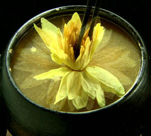 Zen Living in Taiwan / 慢活飲食（英文版）