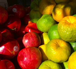 Taiwan Scenery Gallery：use our beautiful pics for free!