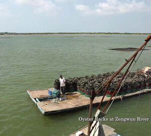 Flying Dreams In Tainan / 夢翔臺南（英文版）