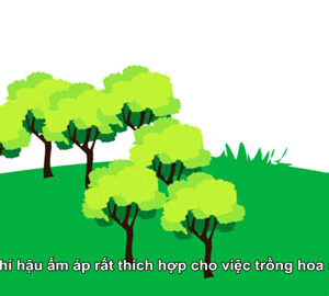 Đài Loan là Vương quốc Trái cây / 臺灣水果(越南文版)