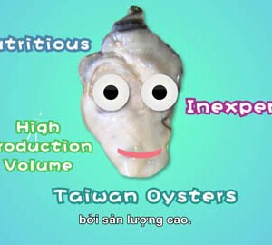 Thưởng thức hàu tại Đài Loan! / 臺灣蚵仔（越南文版）