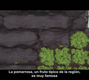 Un arcoíris después de la tormenta / 風雨後的光采（西班牙文版）