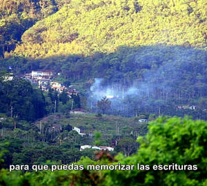 La chamán / 靈媒（西班牙文版）