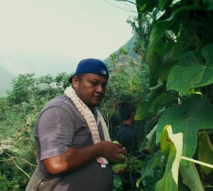 旅行屏北，來我家吧！