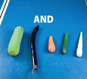 Check Taiwan’s REAL SIZE