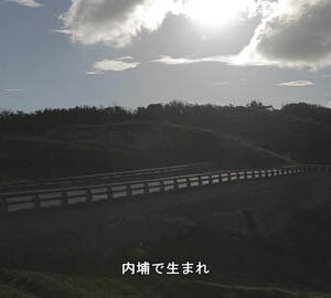 サーフィンが教えてくれた波乗り人生 / 乘風破浪的快意人生﹝日文版﹞