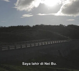 Kehidupan Bahagia Peselancar / 乘風破浪的快意人生（印尼文版）