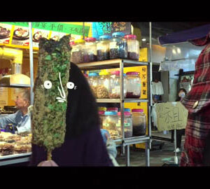 憤怒豬血糕 The Angry Pig Blood Cake