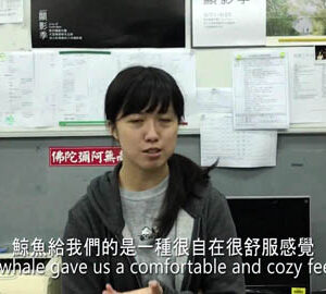 Taiwan Whale Dance -- How do others think about Taiwan Whale Dance?