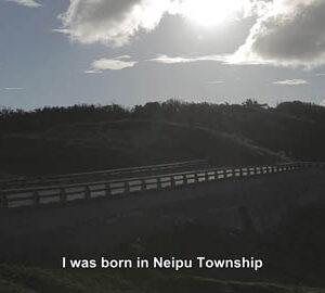 Riding Life's Waves / 乘風破浪的快意人生﹝英文版﹞