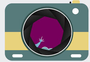 What do you know about Taiwan?