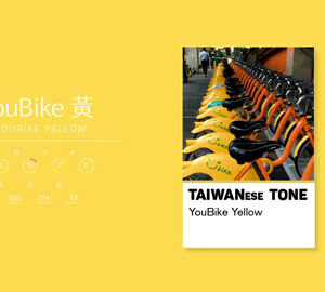 TaiwaneseTone 台灣通｜交通的 How Can You Get Around In Taipei