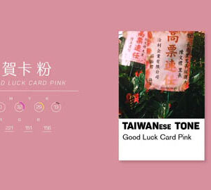 TaiwaneseTone 台灣通｜選舉的 When It Comes To The Election