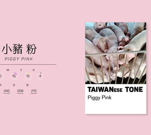 TaiwaneseTone 台灣通｜萌萌的 Little Cuties in Taiwan