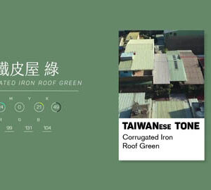 TaiwaneseTone 台灣通｜街頭的 Colour in the Street