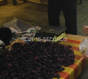 TaiwaneseTone 台灣通｜跟著顏色上路囉 Let's Go with COLOURS