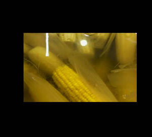 TaiwaneseTone 台灣通｜探索台灣的色彩故事 Explore the Story of Colour in Taiwan