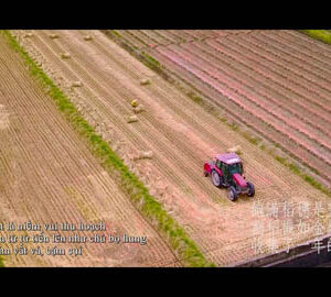 Cuộc sống thường nhật ở thị trấn nhỏ / 小鎮日常（越南文版）