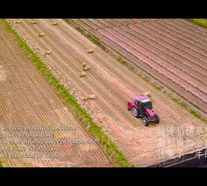 Un viaje al distrito de Hualien / 小鎮日常（西班牙文版）