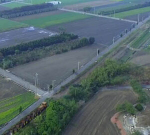 Hương vị quê hương / 故鄉的味道（越南文版）