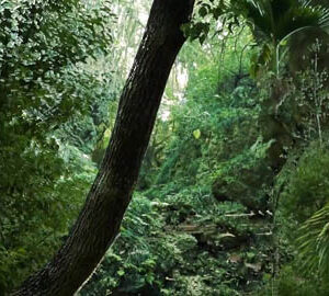 サン / San Trending Taiwan（日文版）