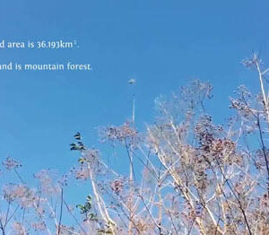 See you in the mountains｜我們山裡見