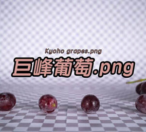 台灣心花開 Taiwan Blooming