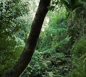 3 บรรยากาศที่แตกต่างกันของไต้หวันใน 3 นาที / San Trending Taiwan（泰文版）