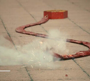 Taiwan Model / 臺灣模式（英文版）