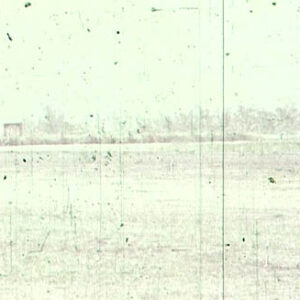 中華民國空軍雷虎特技小組