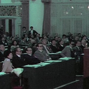 全球華僑團結反共會議及總統茶會