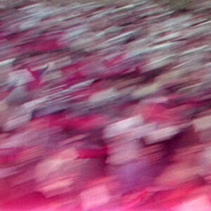 世界自由日反共產爭自由大會