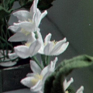 編織花花成果展