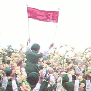 童子軍活動紀錄