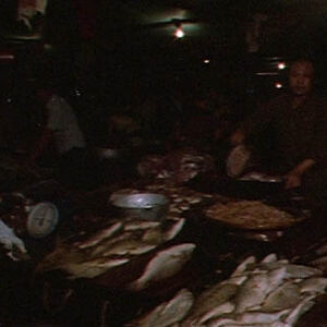 臺灣民眾生活紀錄