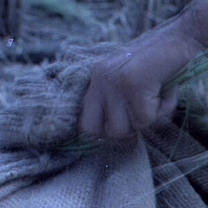 農民務農紀錄。救國團活動紀錄