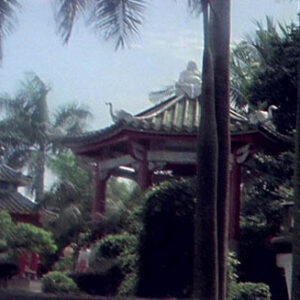 臺灣農業相關概況紀錄