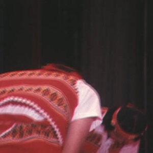 臺灣區特殊學校學生聯合晚會