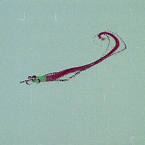 臺灣人民生活紀錄