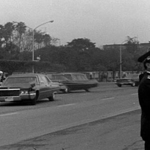 駐華使節向嚴家淦總統呈遞到任國書