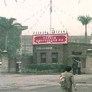 中華民國第六任、副總統當選慶祝告示