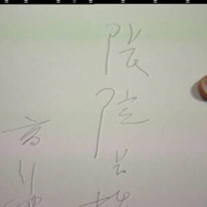 行政院院長張俊雄參加墨與光-高行健近作展開幕典禮