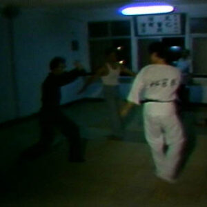 美國、中國武術交流特輯