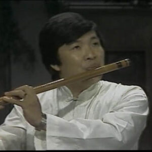 Chinese Musical Instruments(2)