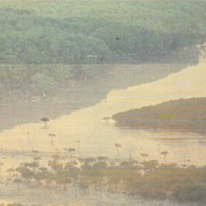 關懷、貢獻、拓展──臺灣集錦第二輯