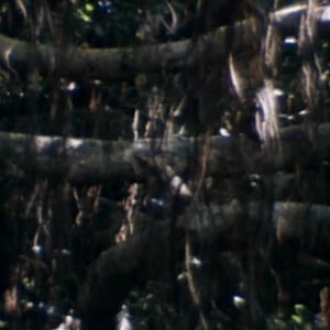 Taiwan: ”The Beautiful Island”