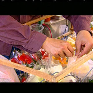 驚豔─臺灣花卉