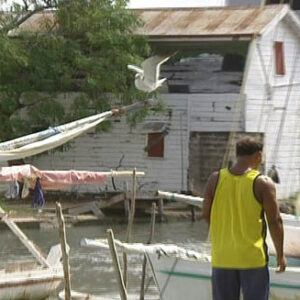 Greetings to the Belize