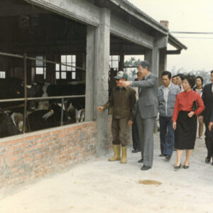 省主席時期-MOFA109179CF-2020-12--PH00009-002